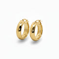 Gold Hoops in Yellow Gold
